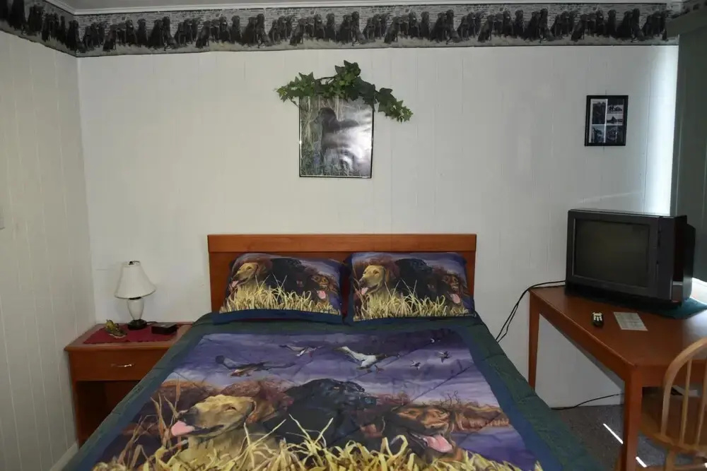Royals Inn Motel - фото 13