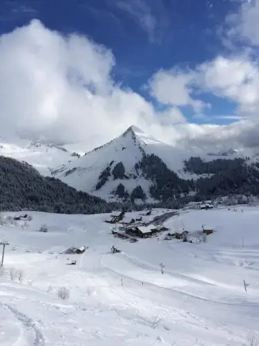 Appartement Le Praz De Lys