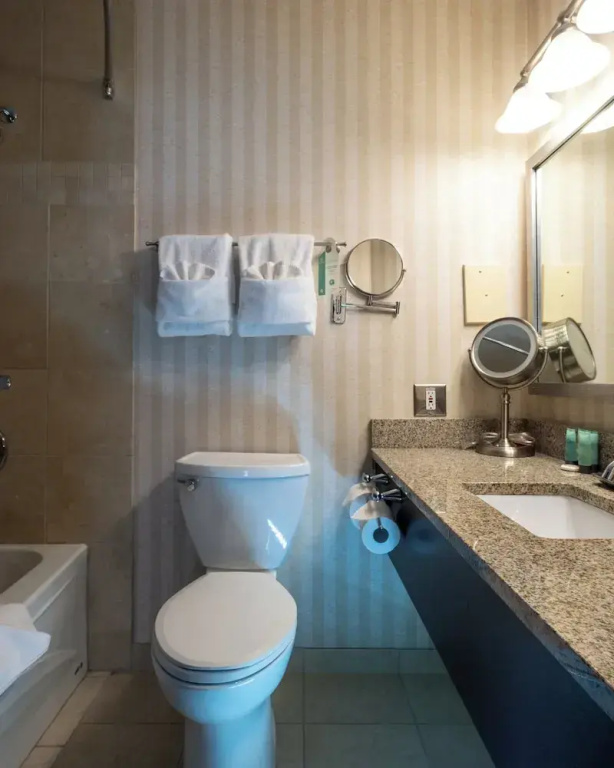 Standard Suite