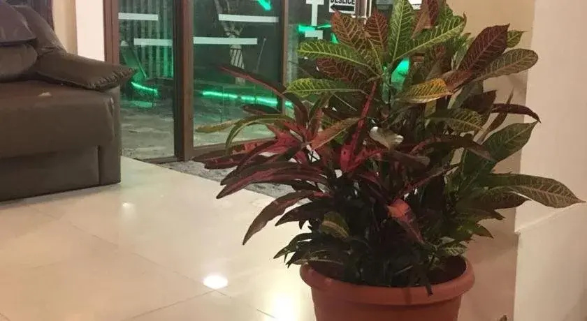 Hotel La Colina de Rio - Général