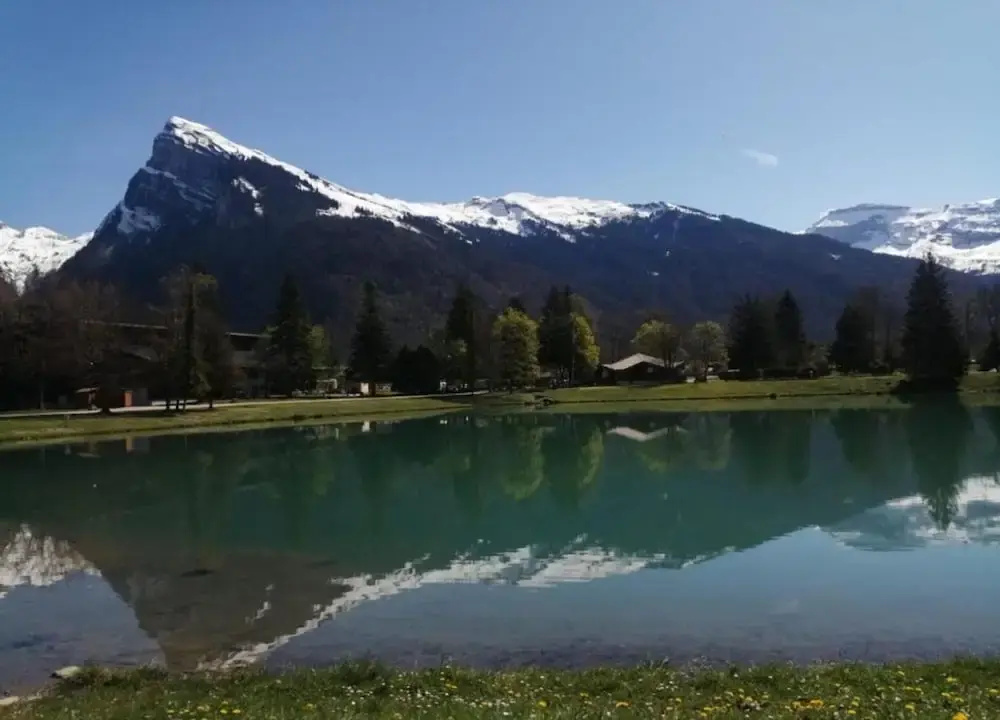 Apartment in Morillon Near Ski Slopes