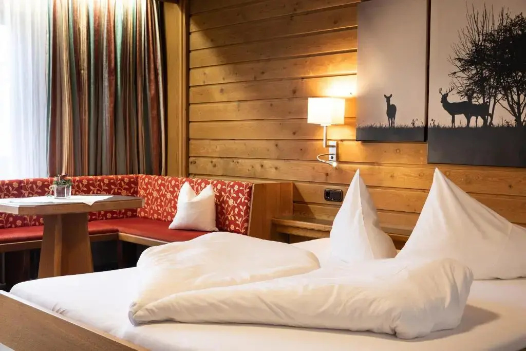 Standard Double room with mountain view (full double bed)