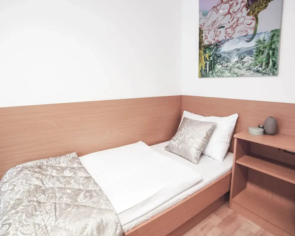 Standard Double room (full double bed)