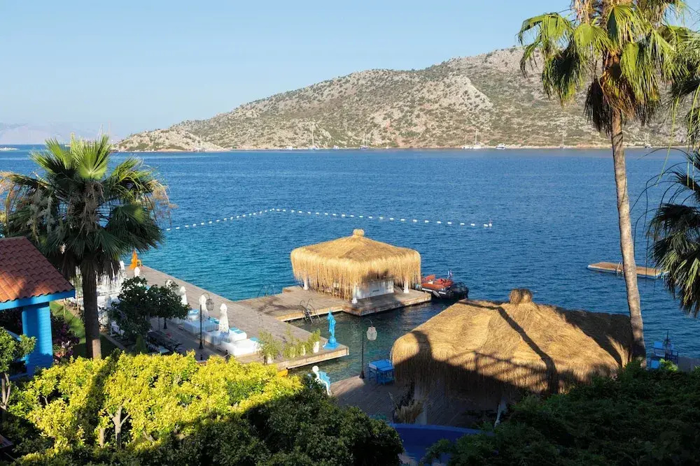 Beach & Waterfront