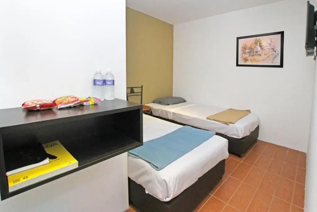 Standard Double room (twin beds)