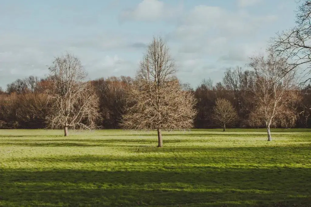 De Vere Theobalds Estate - Général