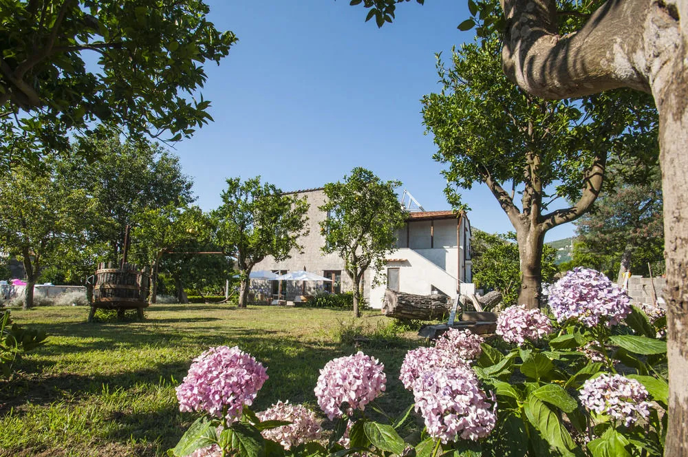 Mille912 Guest House