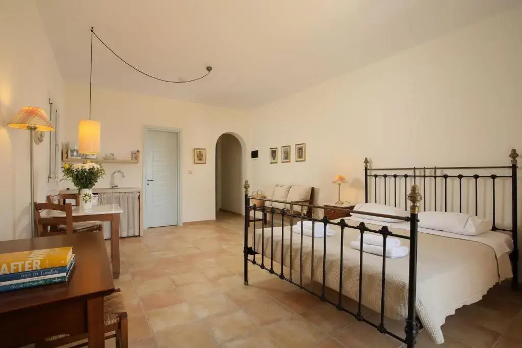 Standard Double room (full double bed)
