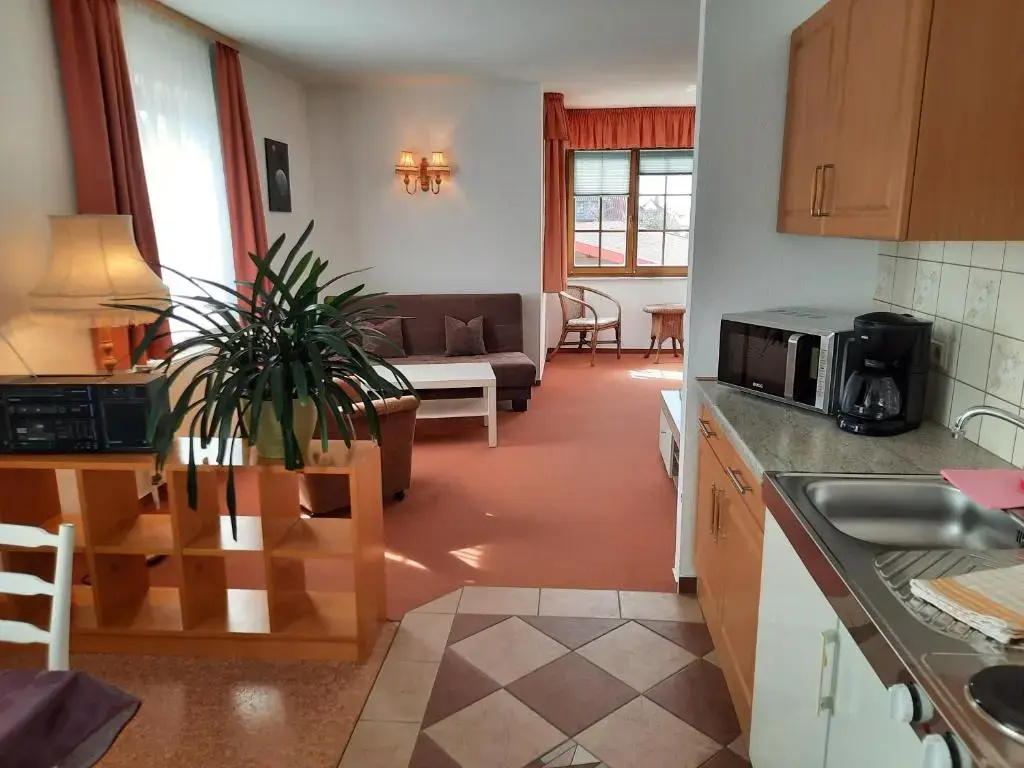 1 Bedroom Apartment
