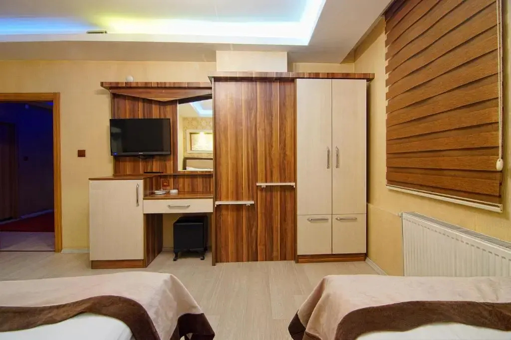Standard Double room with mountain view (full double bed)