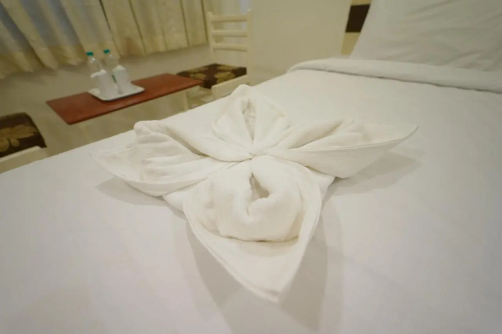 Hotel Palmyra Grand Inn - Général