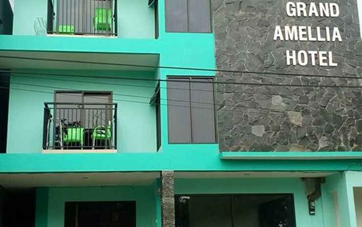 大茶花酒店(Grand Amellia Hotel)