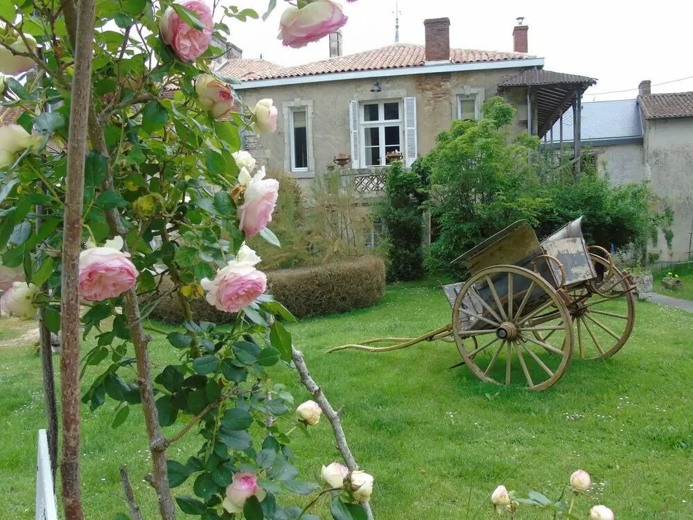 Image 12