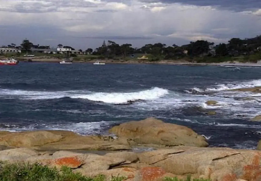 Tidelines of Bicheno - Général