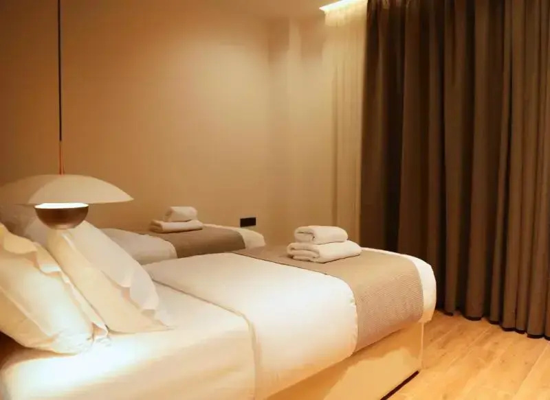 Deluxe Double room (twin beds)