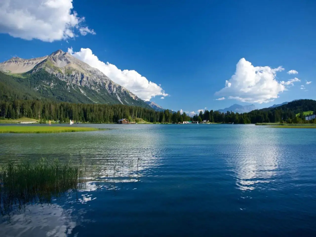 Schweizerhof Ferienwohnungen Lenzerheide 1 - фото 3