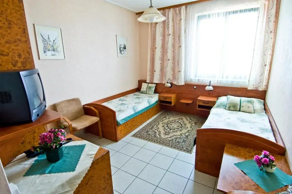 Standard Double room (full double bed)