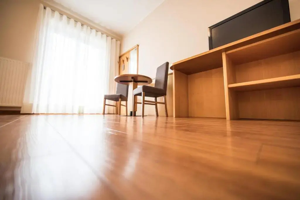 Standard Double room with mountain view (full double bed)