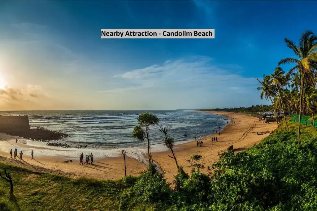 Beach & Waterfront
