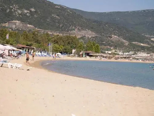 Beach & Waterfront