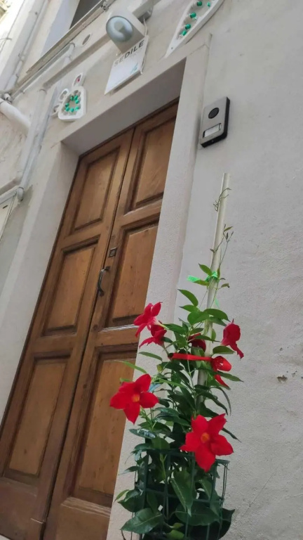 apartmentpicture