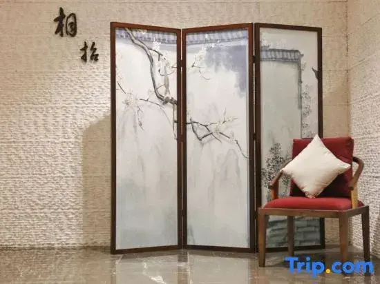 Balcony & Terrace
