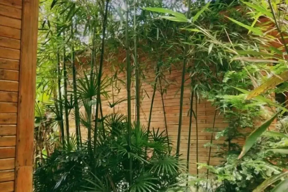 Heyuan Holiday Guesthouse