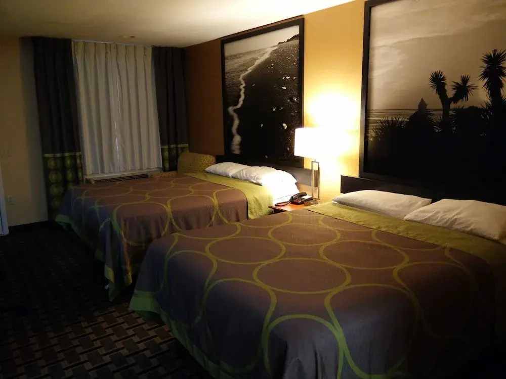 Platinum Inn & Suites Willowbrook Houston - Chambres