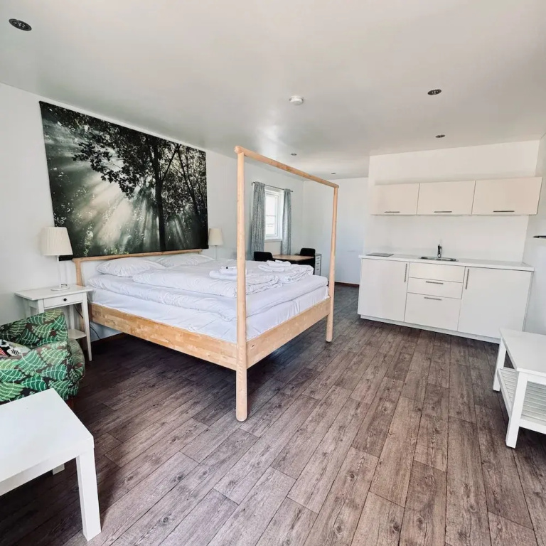 Comfort Double room (full double bed)