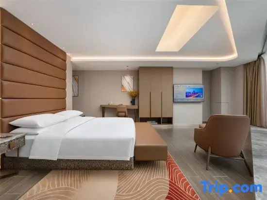 Standard Double room with city view (full double bed)