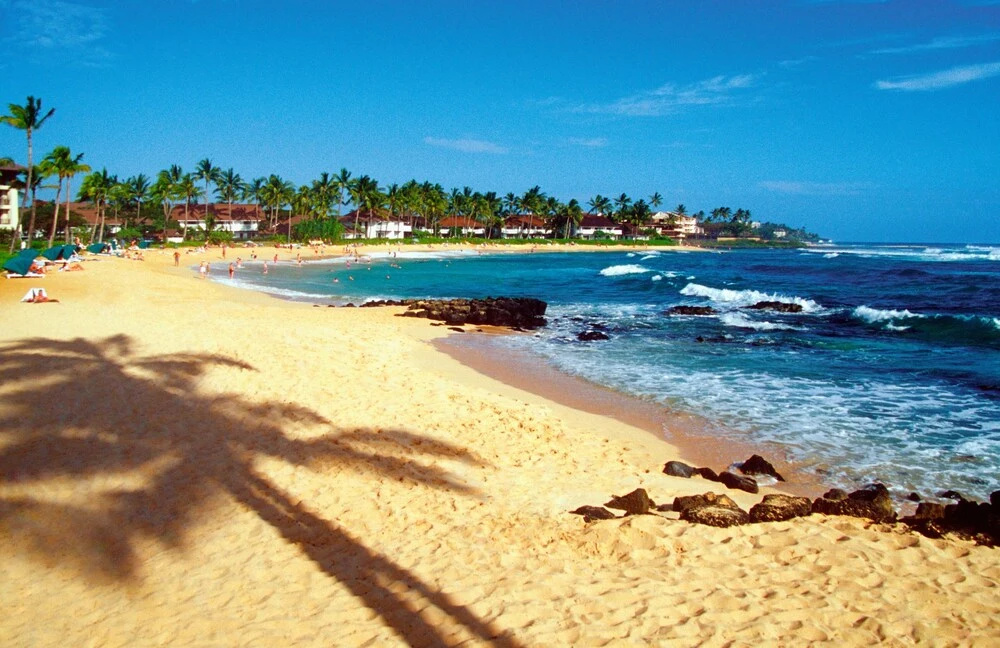 Beach & Waterfront