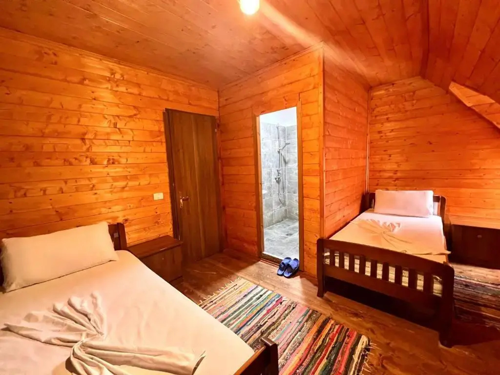 Standard Double room with mountain view (twin beds)