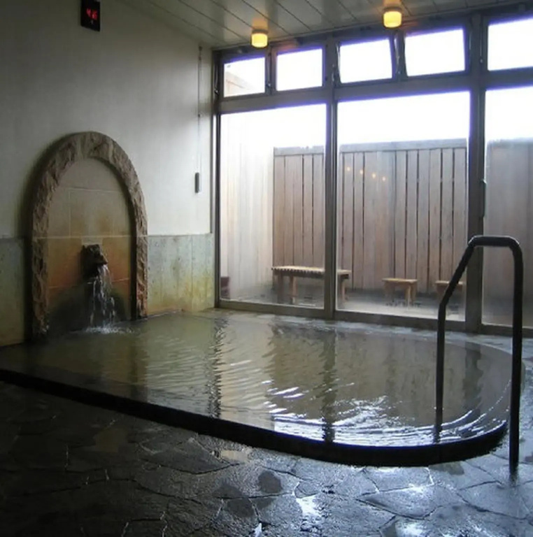 Ikaho Onsen Sanyo Hotel - Général