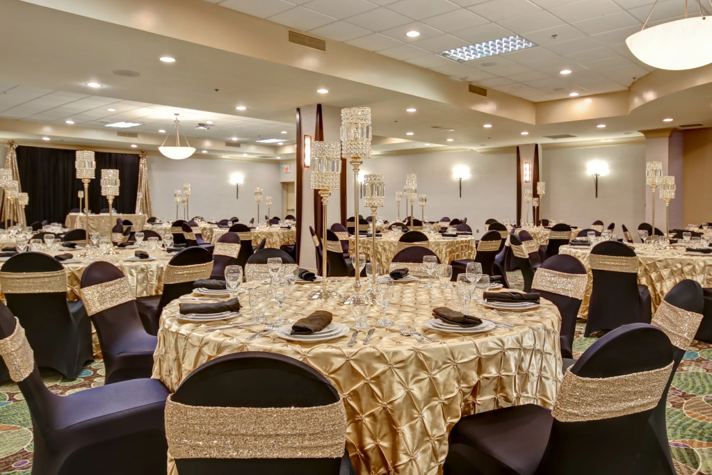 Holiday Inn & Suites Windsor Ambassador Bridge by IHG - Général