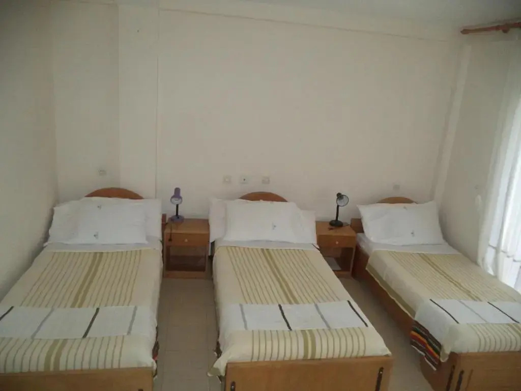 Standard Triple room with mountain view