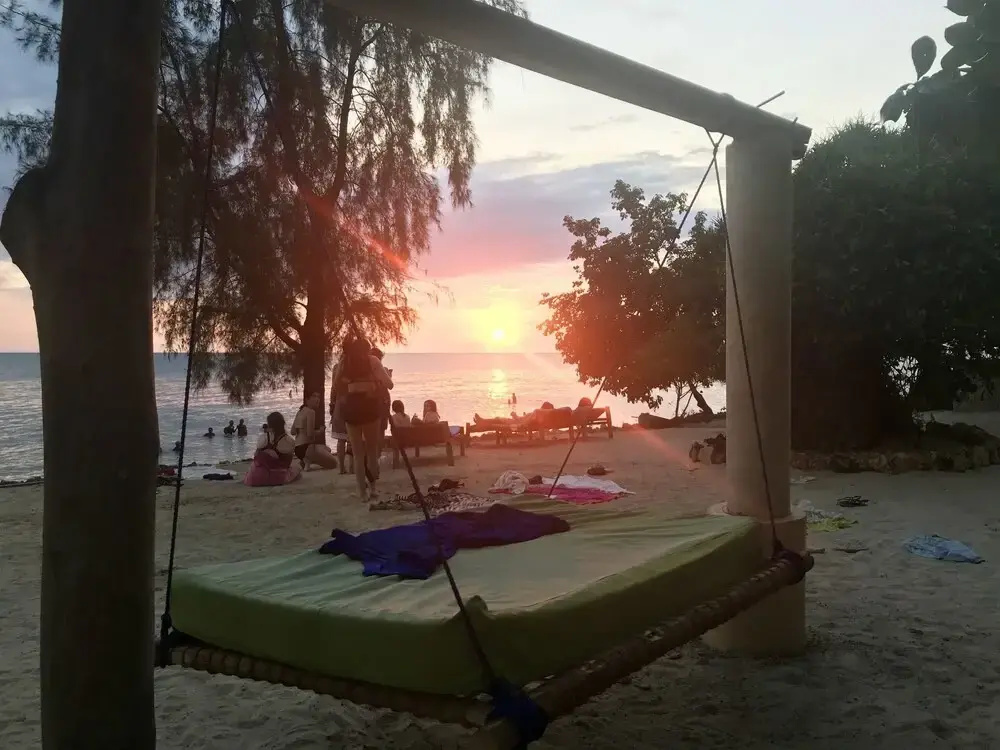 Mangrove Lodge - Général