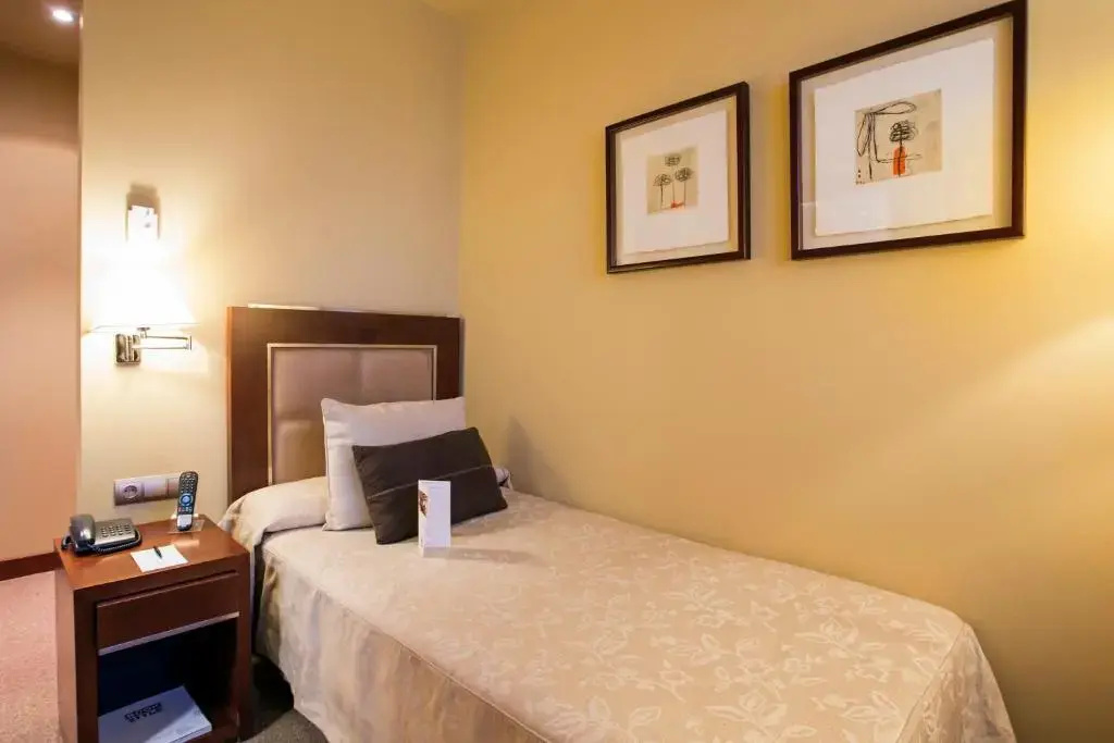Hotel Nuevo Madrid - Général