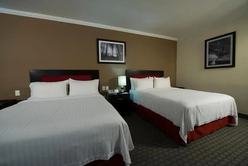 Ramada by Wyndham CDMX Perinorte - Chambres