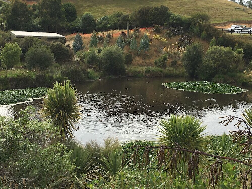 Image 12