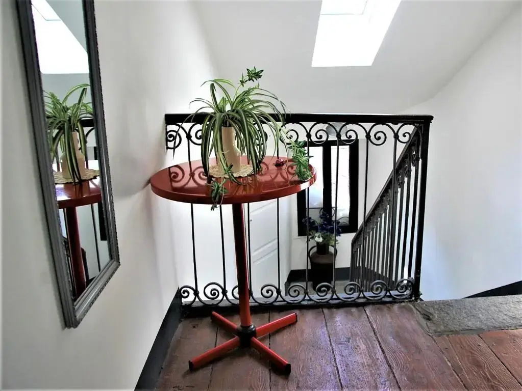 Standard Double room with mountain view (full double bed)