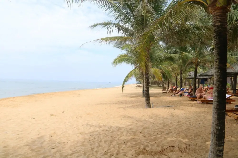 Beach & Waterfront