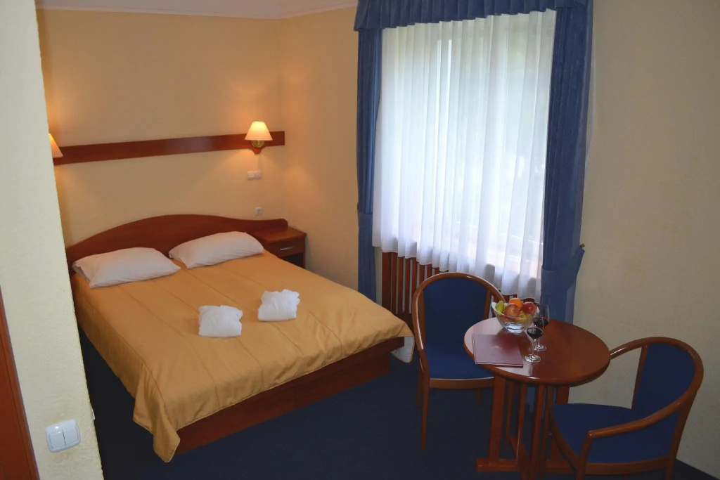 Hotel Slovenija - Chambres