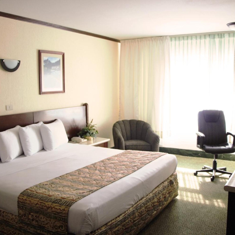 Hotel photo 43