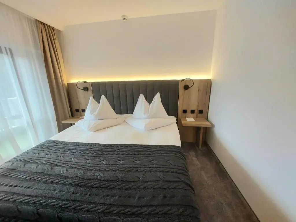 Standard Double room with mountain view (full double bed)