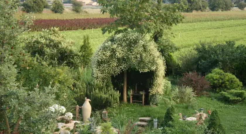 A La Provencale