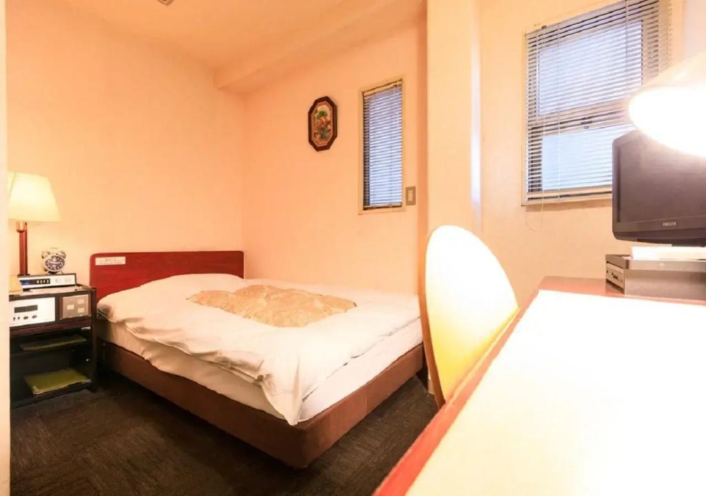 Standard Double room (twin beds)