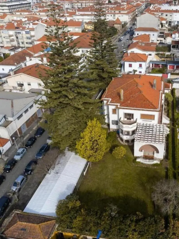 Espinho Vintage
