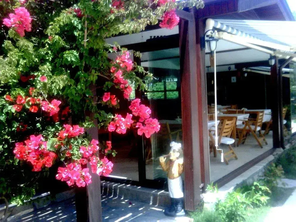 Hotel photo 13