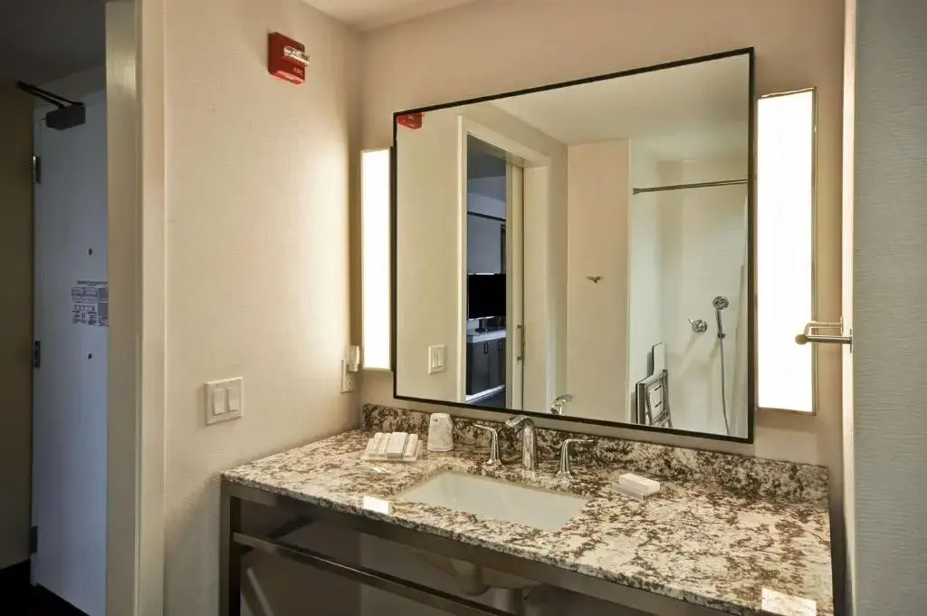 Hilton Garden Inn Detroit Troy - Chambres