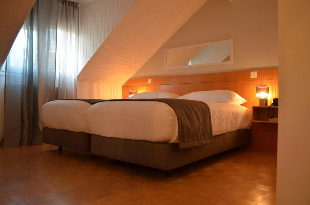 Hôtel des Alpes - Général
